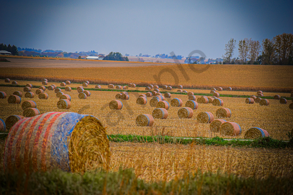 October 2025 222 Photography Art | Photos By Regan