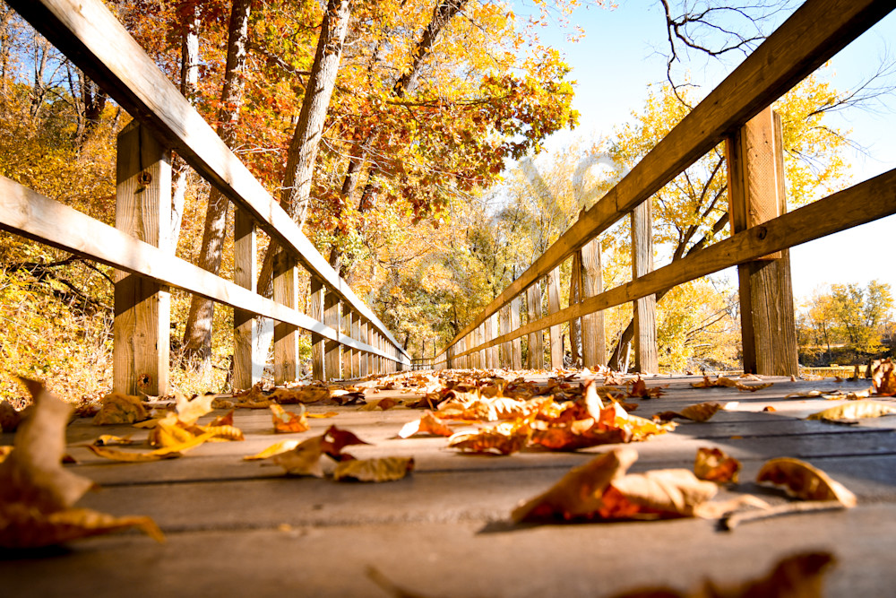 October 2025 295 Photography Art | Photos By Regan