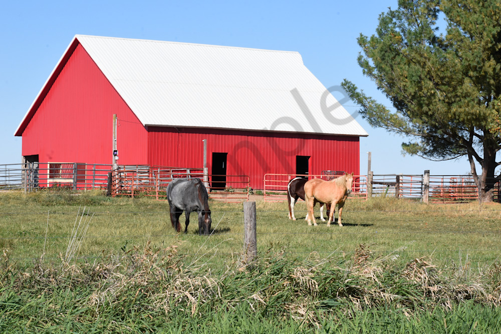 October 2025 503 Photography Art | Photos By Regan