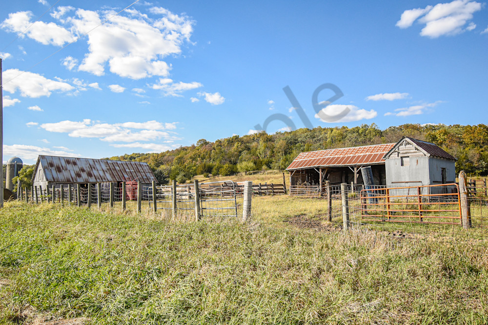 October 2025 616 Photography Art | Photos By Regan