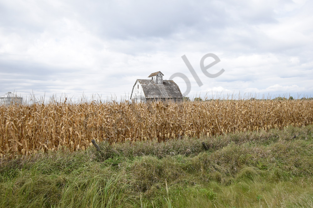 September 2025 169 Photography Art | Photos By Regan