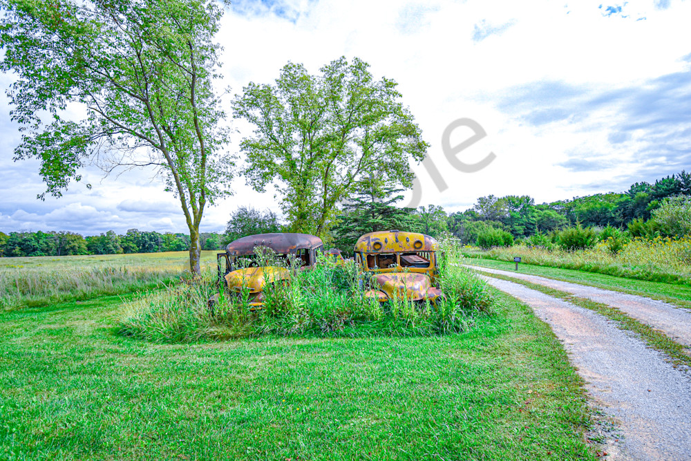 September 2025 244 Photography Art | Photos By Regan