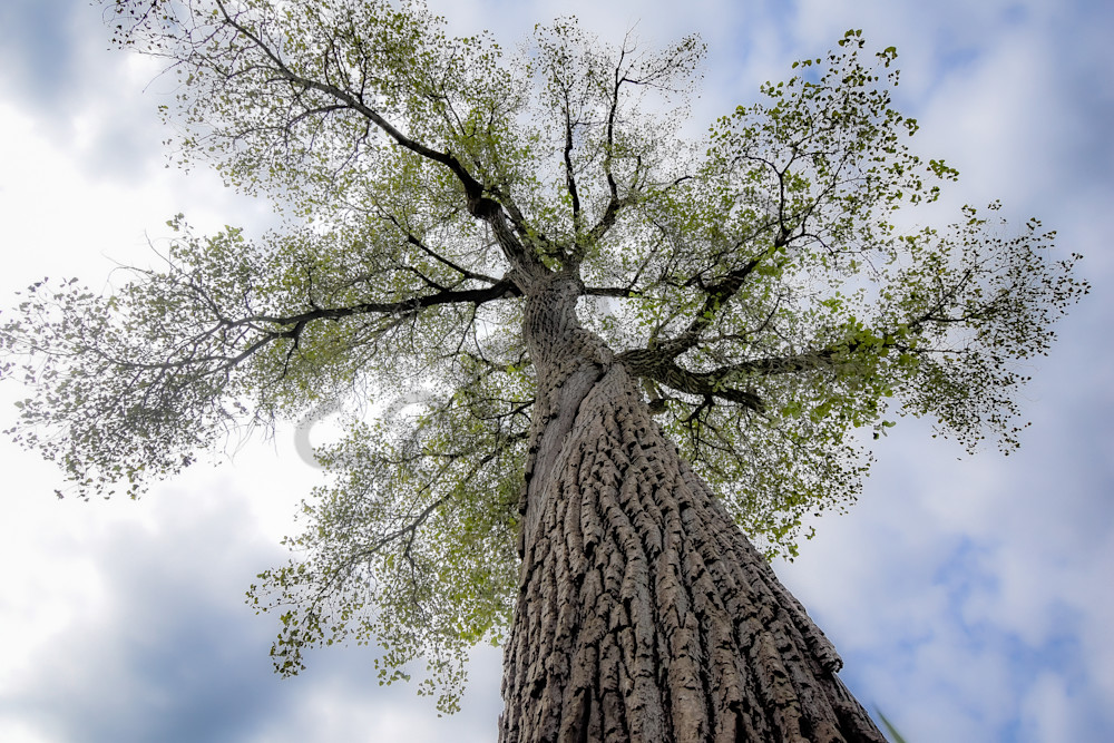 September 2025 299 Photography Art | Photos By Regan