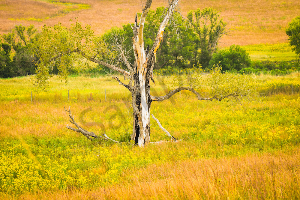 September 2025 449 Photography Art | Photos By Regan