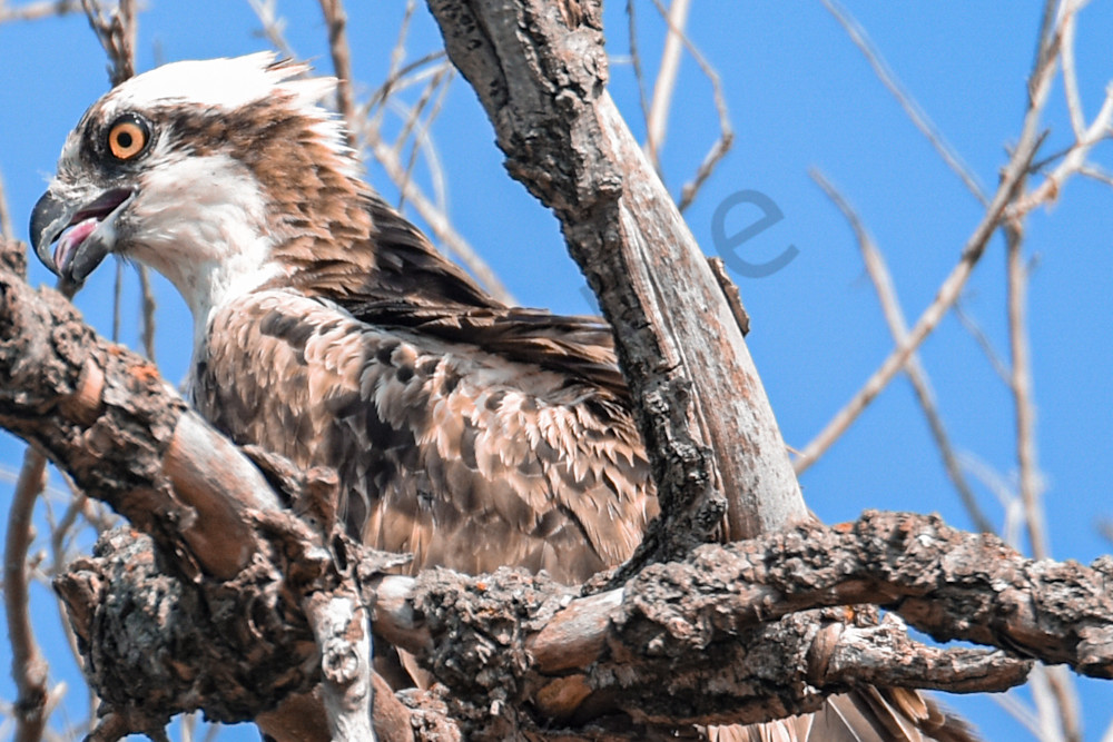 September 2025 674 Photography Art | Photos By Regan