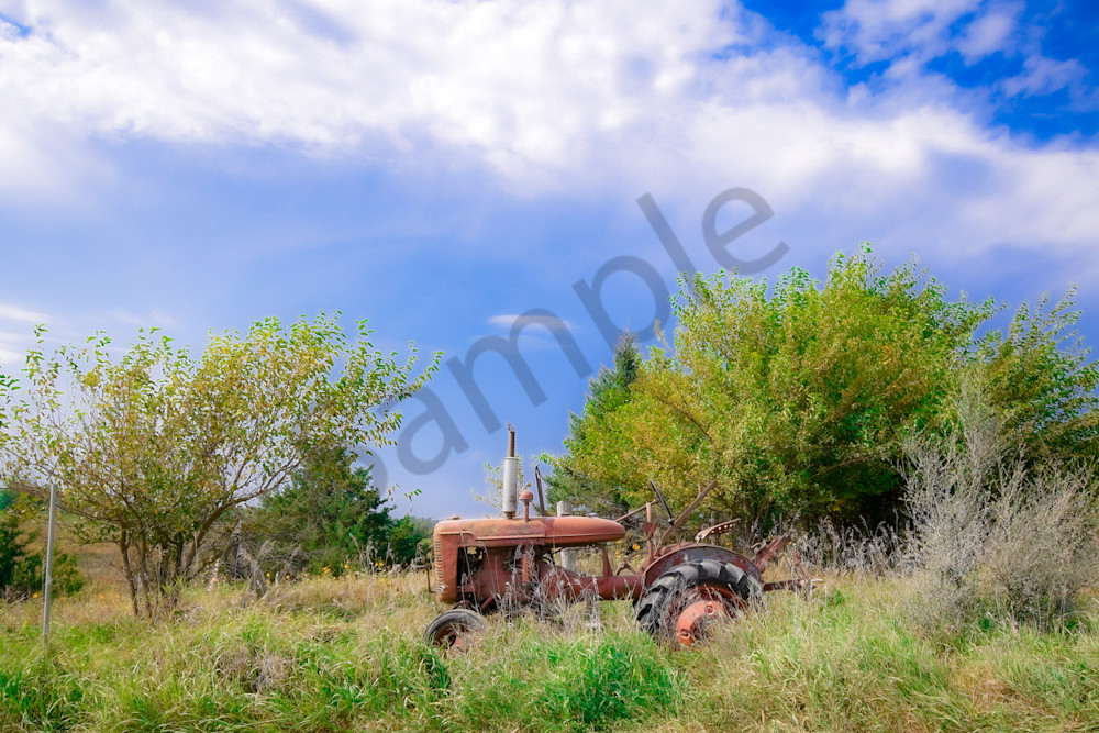 September 2025 606 Photography Art | Photos By Regan