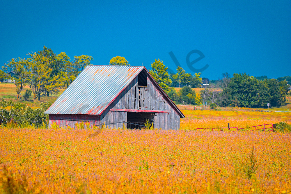 September 2025 682 Photography Art | Photos By Regan