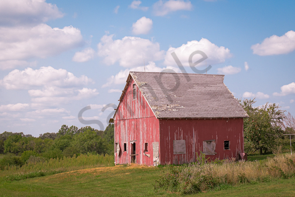 September 2025 862 Photography Art | Photos By Regan