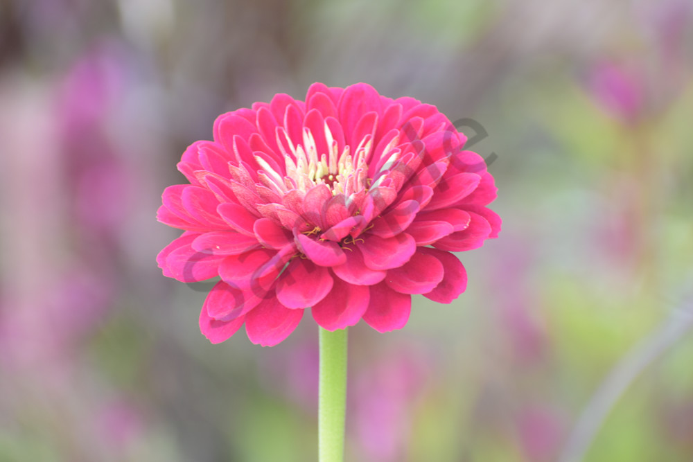 September 2025 1218 Photography Art | Photos By Regan