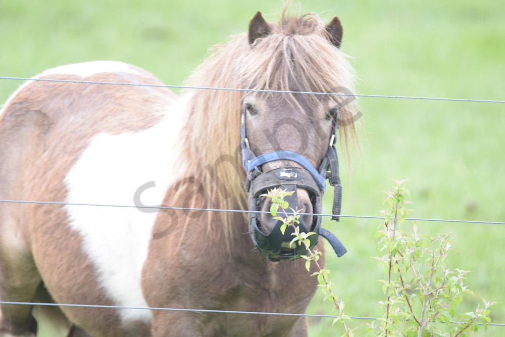 April 2024 3 Photography Art | Photos By Regan