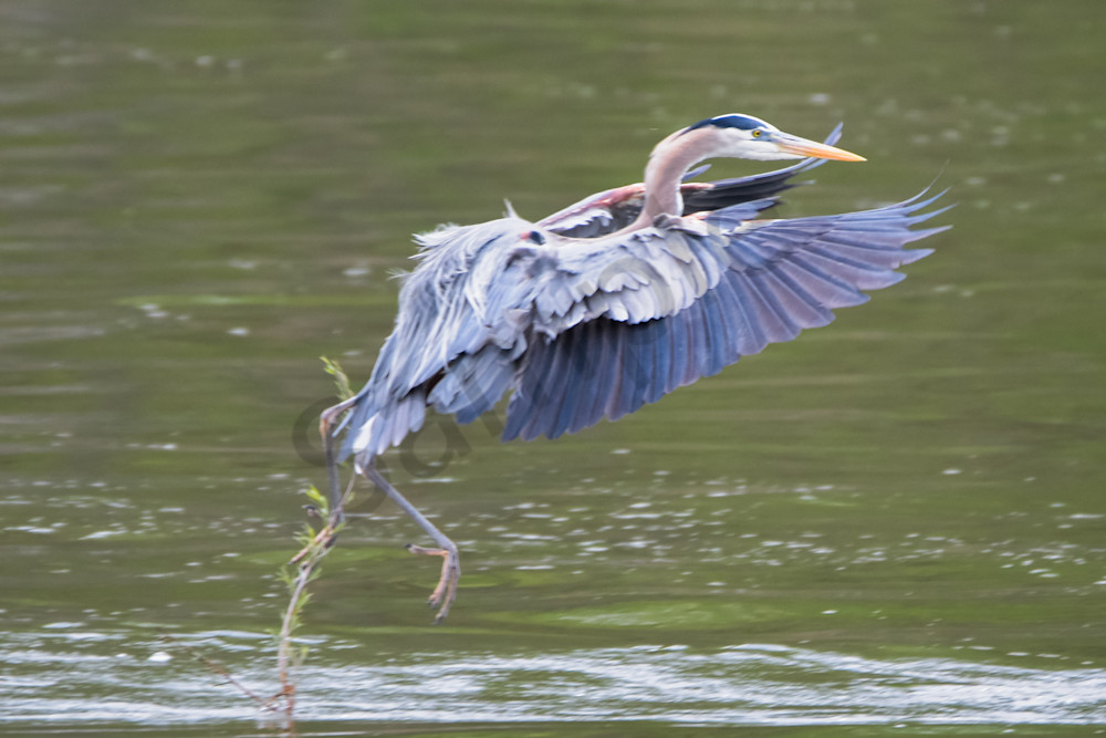 April 2024 71 Photography Art | Photos By Regan