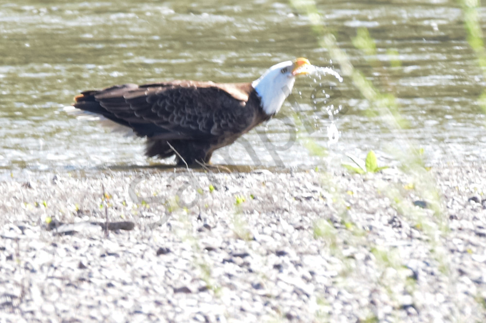 April 2024 198 Photography Art | Photos By Regan