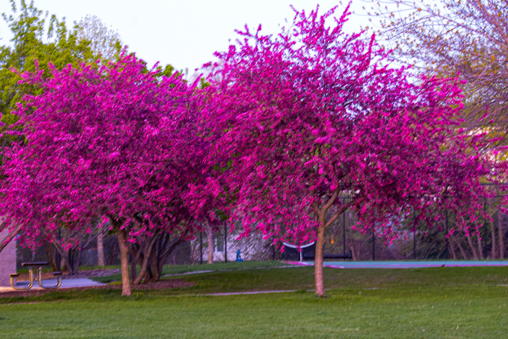 April 2024 77 Photography Art | Photos By Regan