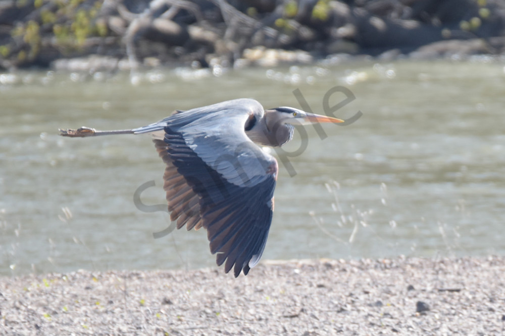 April 2024 127 Photography Art | Photos By Regan