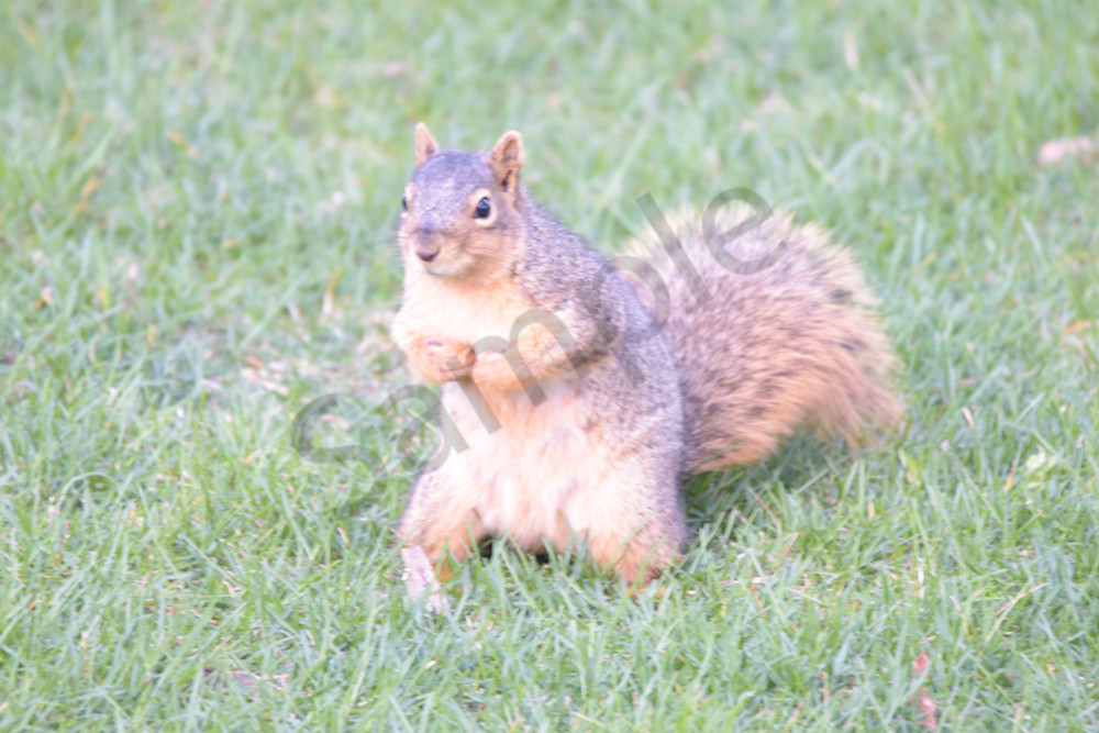 April 2024 87 Photography Art | Photos By Regan