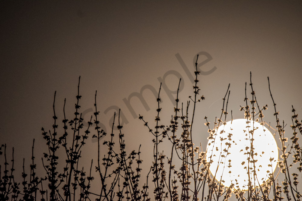 April 2024 76 Photography Art | Photos By Regan