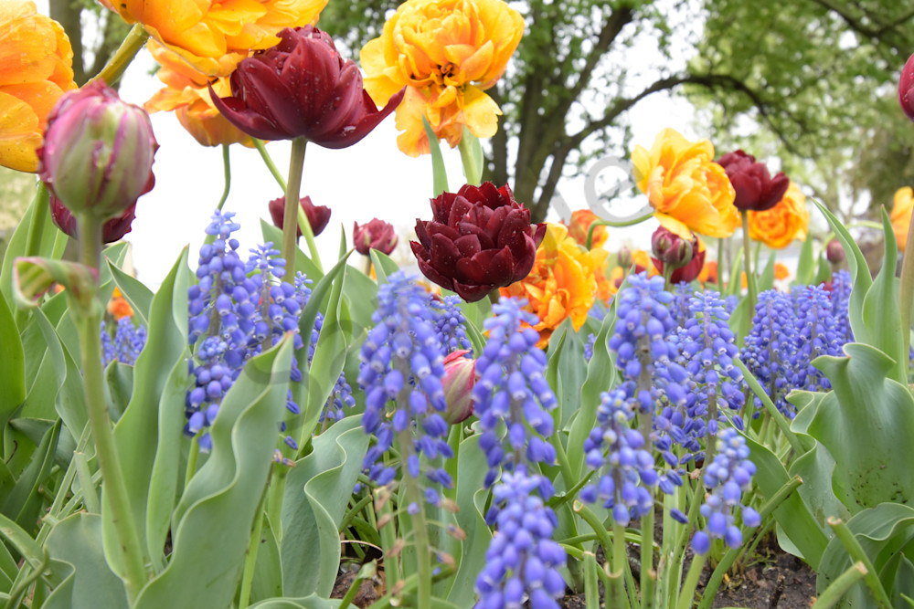 April 2025 132 Photography Art | Photos By Regan