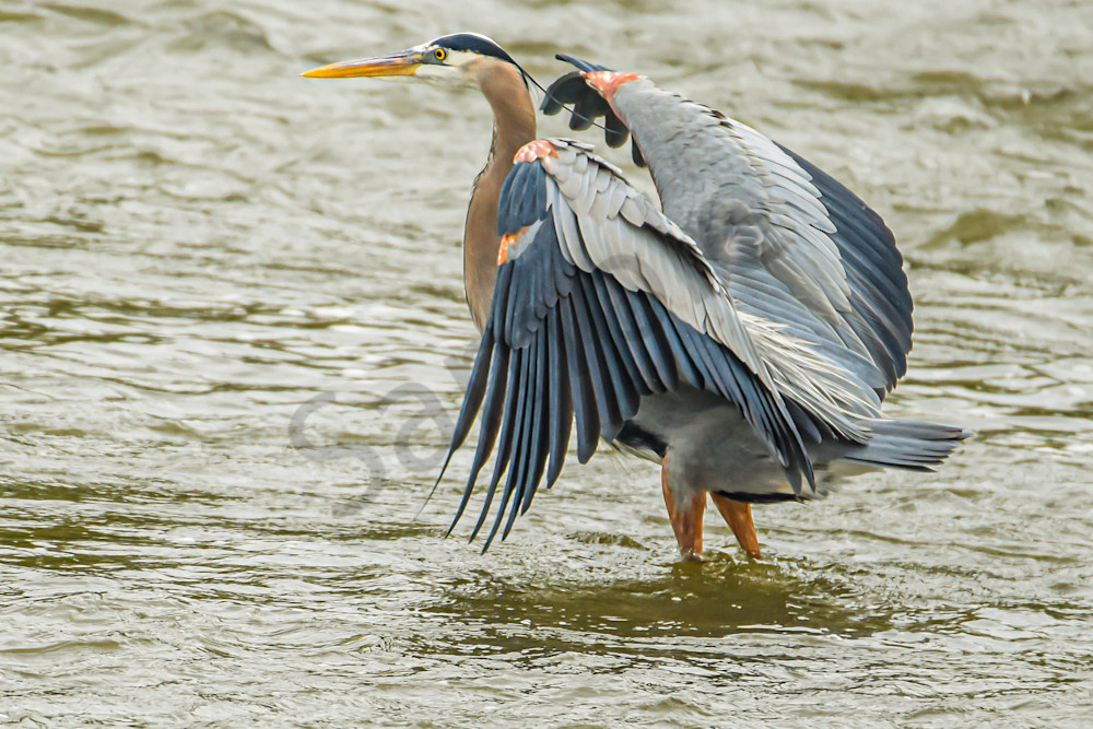 April 2025 378 Photography Art | Photos By Regan