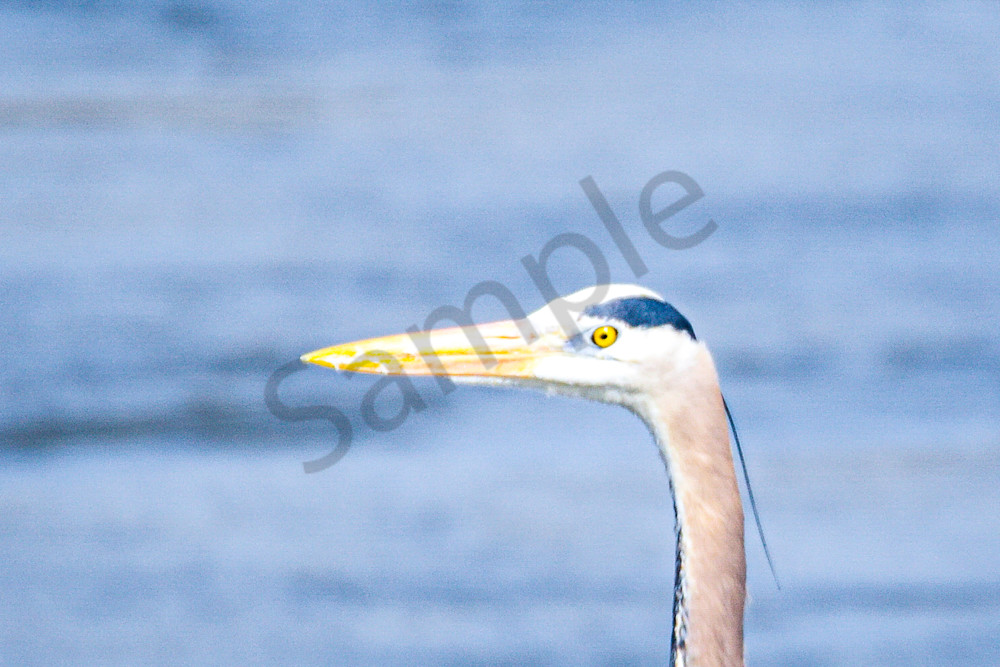 April 2025 479 Photography Art | Photos By Regan