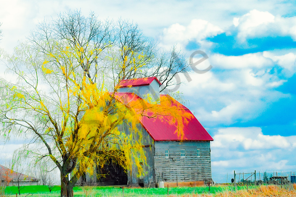 April 2025 558 Photography Art | Photos By Regan