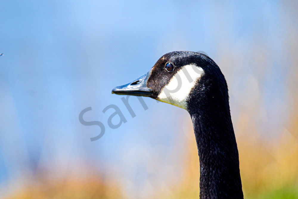 April 2025 659 Photography Art | Photos By Regan