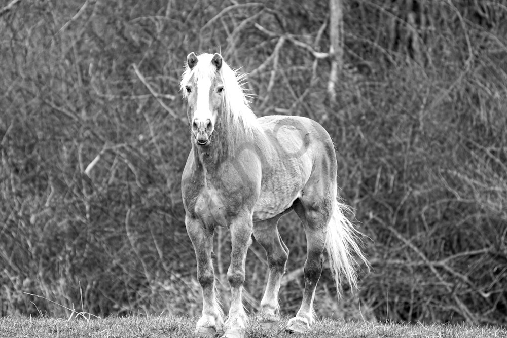 April 2025 441 Photography Art | Photos By Regan