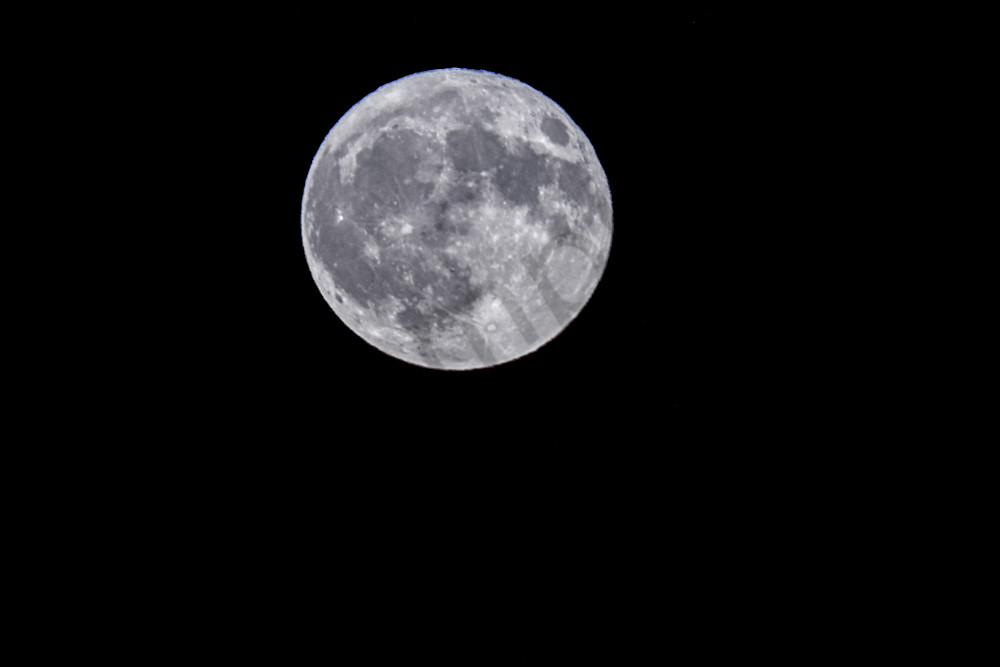 August  2024 92 Photography Art | Photos By Regan