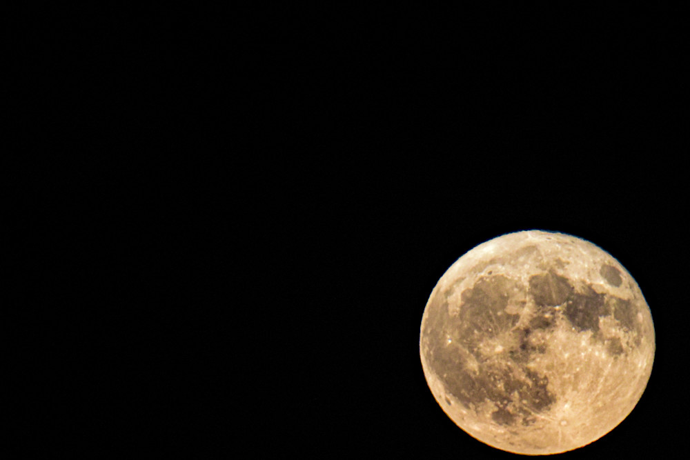 August  2024 101 Photography Art | Photos By Regan