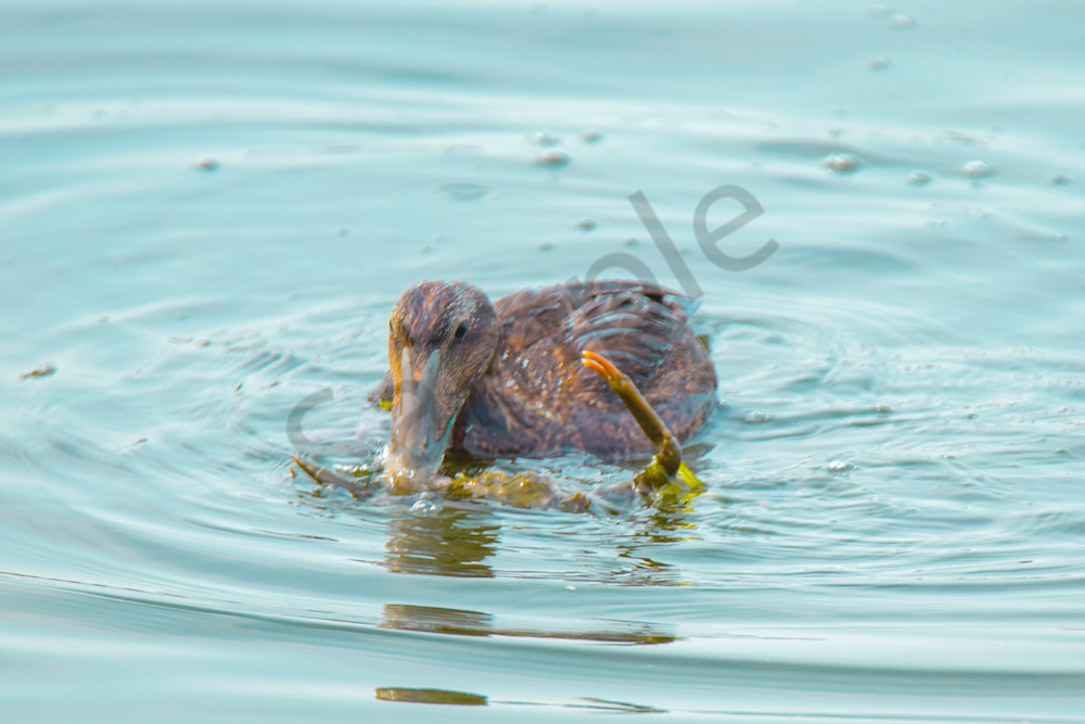 August  2024 255 Photography Art | Photos By Regan