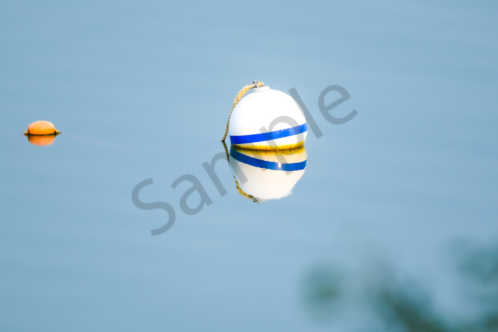 August  2024 282 Photography Art | Photos By Regan