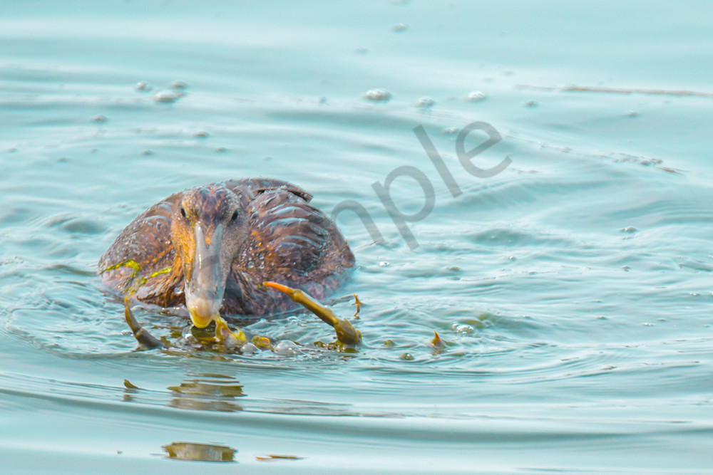 August  2024 258 Photography Art | Photos By Regan