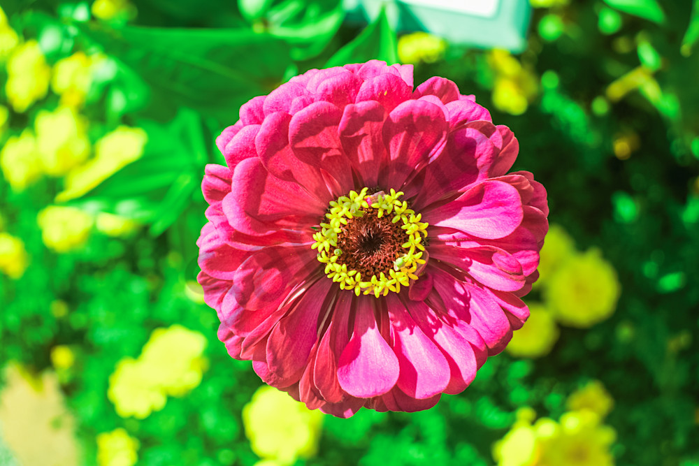 August  2024 360 Photography Art | Photos By Regan