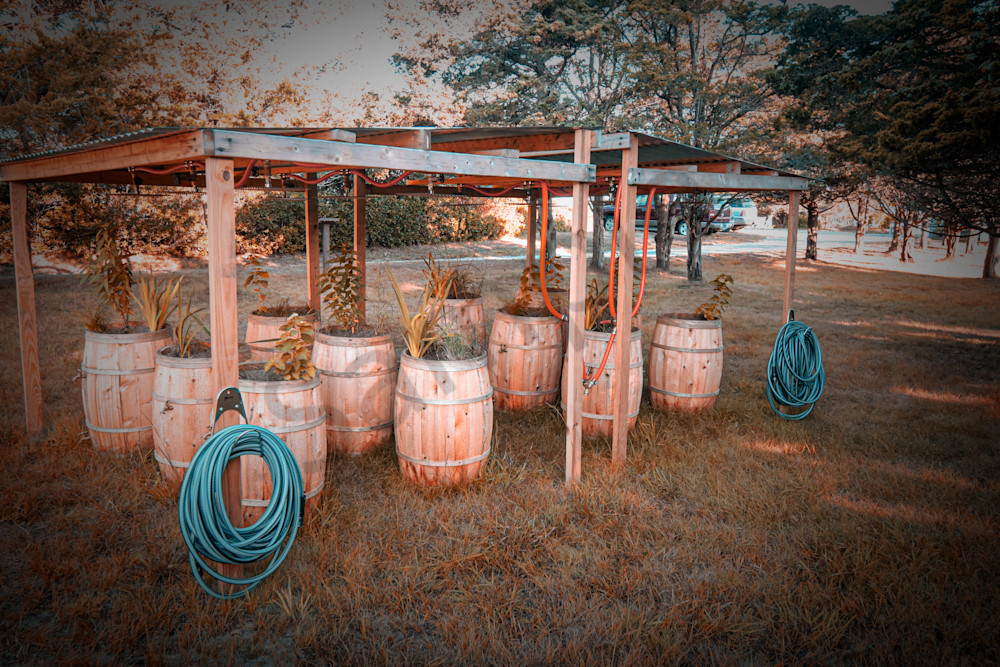 August 2025 49 Photography Art | Photos By Regan