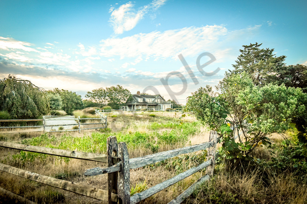 August 2025 120 Photography Art | Photos By Regan