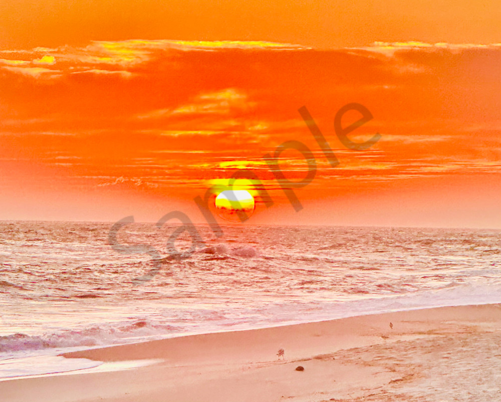 August 2025 324 Photography Art | Photos By Regan