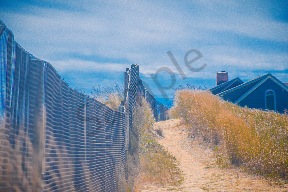 August 2025 285 Photography Art | Photos By Regan