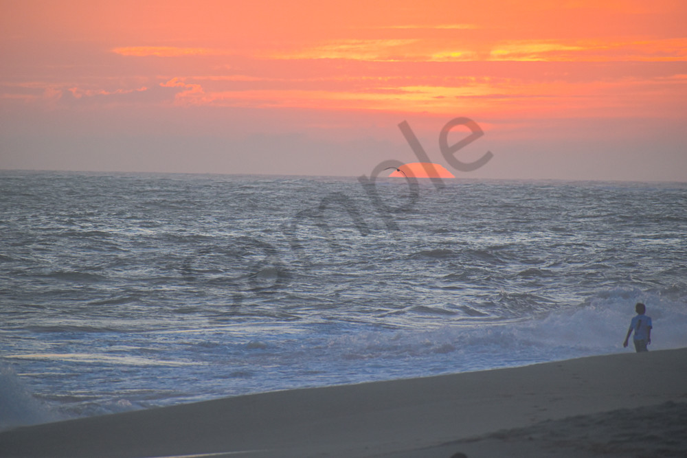 August 2025 328 Photography Art | Photos By Regan