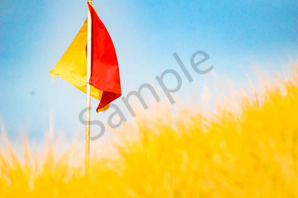 August 2025 372 Photography Art | Photos By Regan