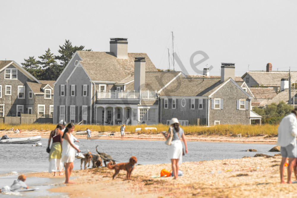 August 2025 397 Photography Art | Photos By Regan