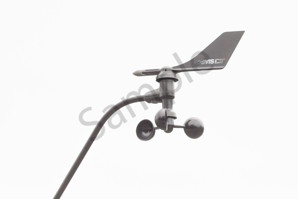 August 2025 432 Photography Art | Photos By Regan