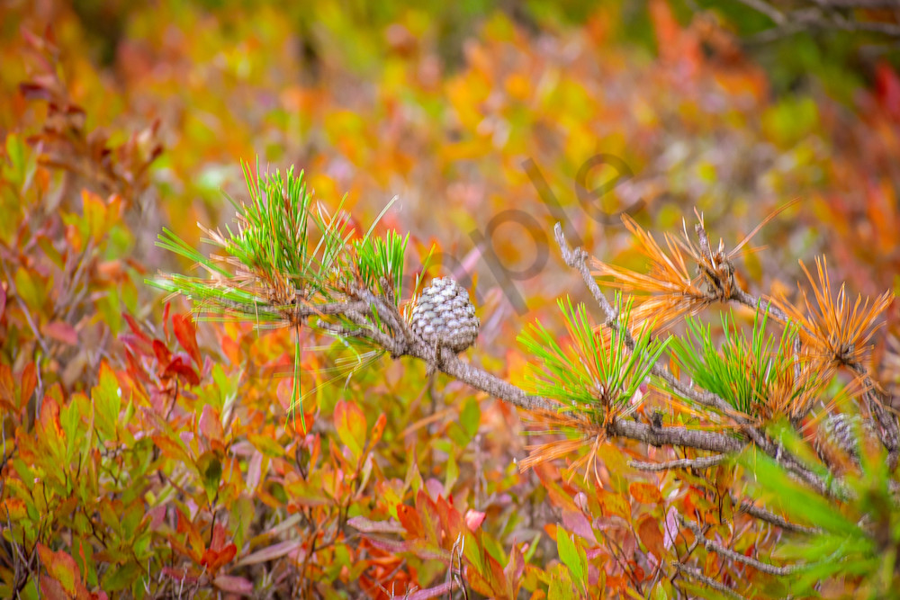 August 2025 513 Photography Art | Photos By Regan