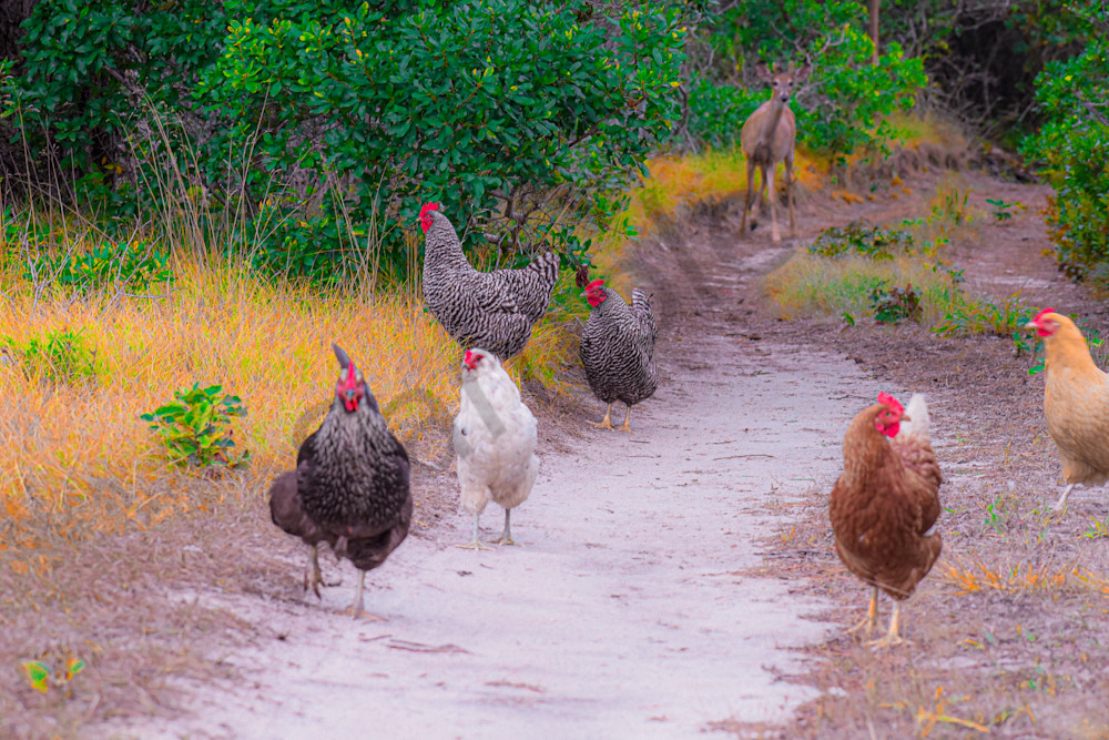 August 2025 530 Photography Art | Photos By Regan