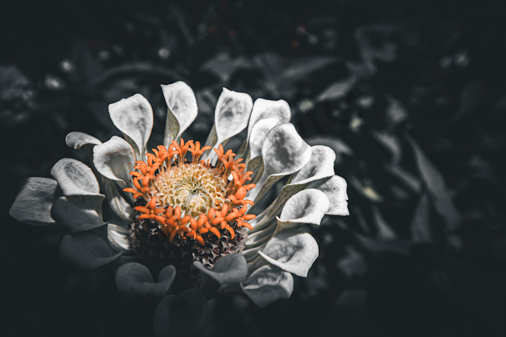 August 2025 627 Photography Art | Photos By Regan