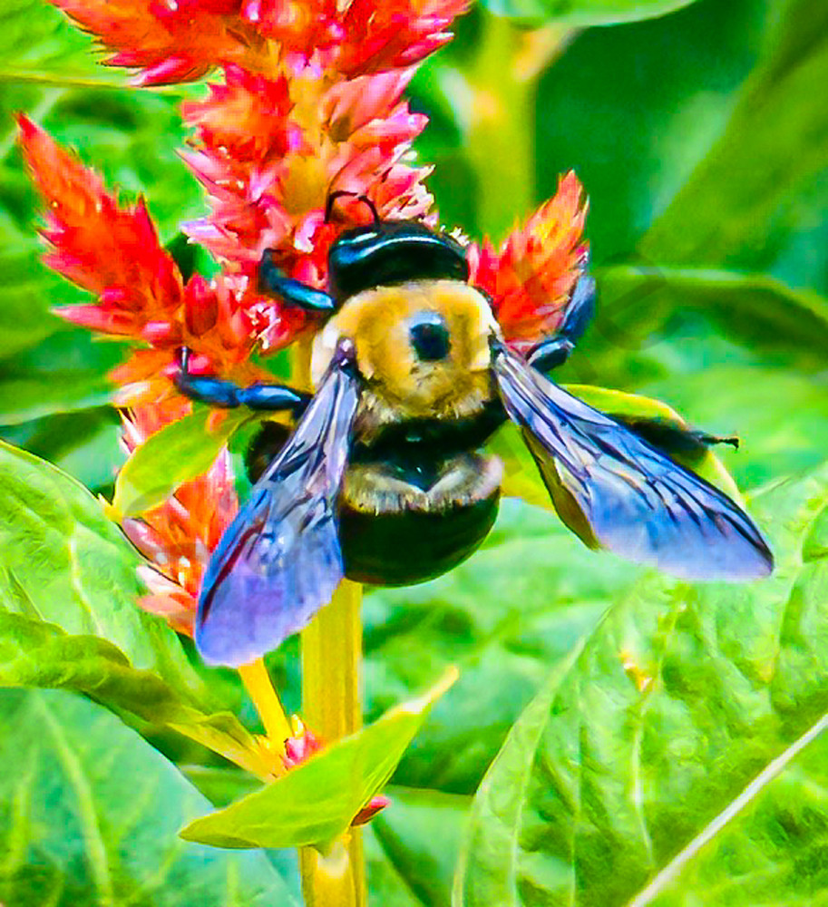 August 2025 1641 Photography Art | Photos By Regan