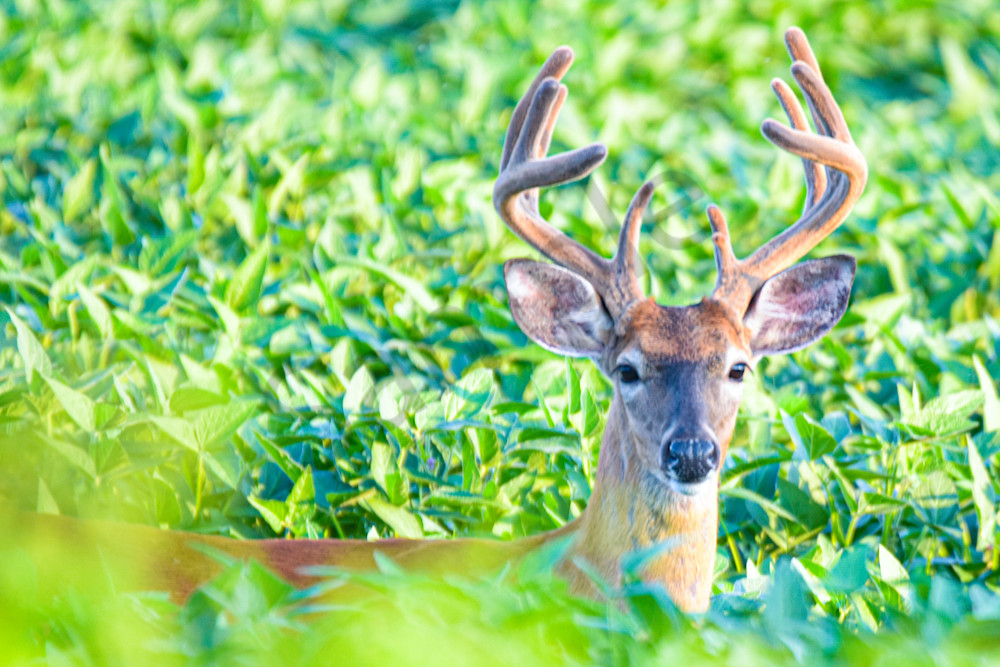 August 2025 1576 Photography Art | Photos By Regan