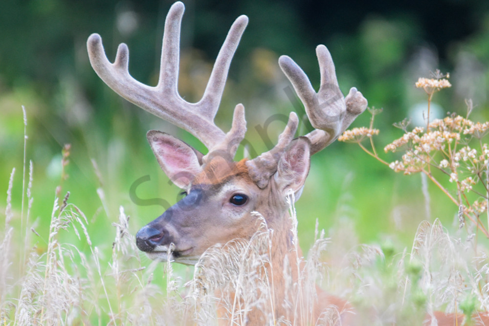 August 2025 1771 Photography Art | Photos By Regan