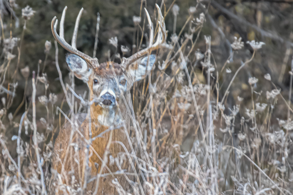 December 2024 140 Photography Art | Photos By Regan