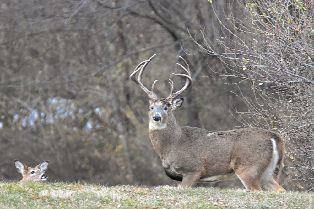 December 2024 227 Photography Art | Photos By Regan