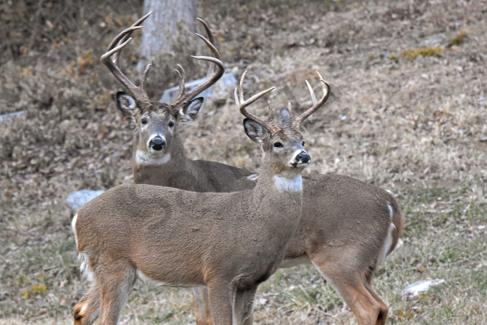 December 2024 274 Photography Art | Photos By Regan