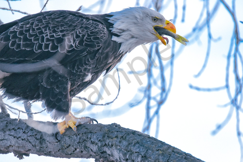 December 2024 395 Photography Art | Photos By Regan